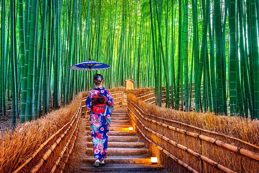 Hutan bambu Arashiyama