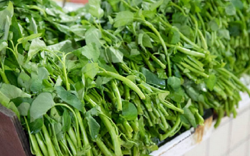 sayur-kangkung