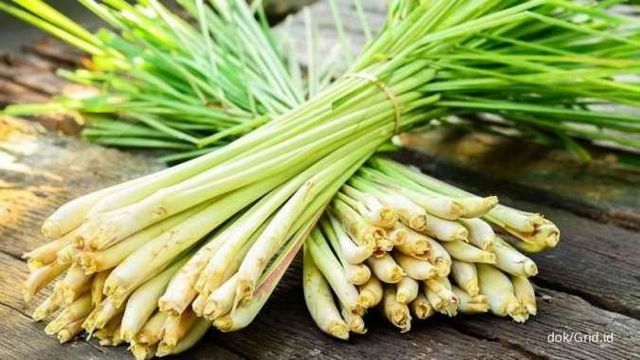 Beberapa herbal adalah 'pembunuh' nyamuk