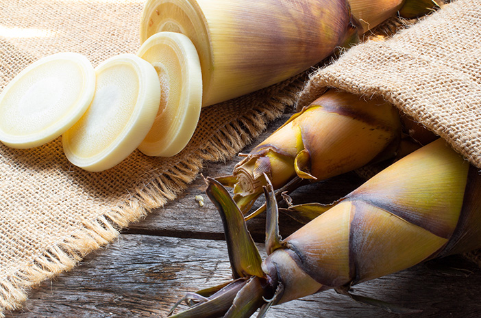 Tips membuang racun pada rebung segar