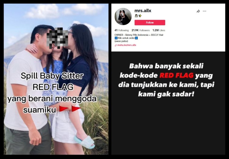 Istri menceritakan Baby Stitter Menggoda Suaminya