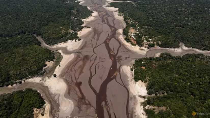 Sungai Amazon kering karena kekeringan