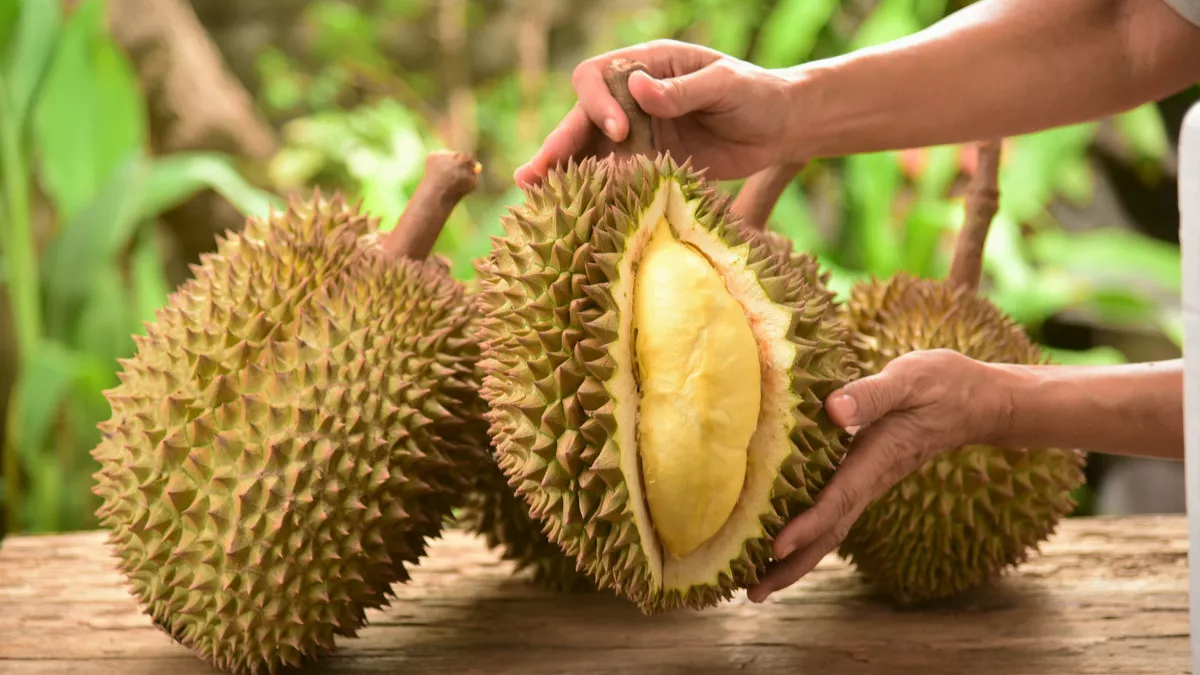 10 Manfaat Buah Durian Untuk Kesehatan